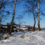 krzakoska-skala